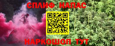 гидра Гусиноозёрск